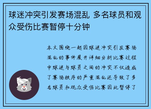 球迷冲突引发赛场混乱 多名球员和观众受伤比赛暂停十分钟
