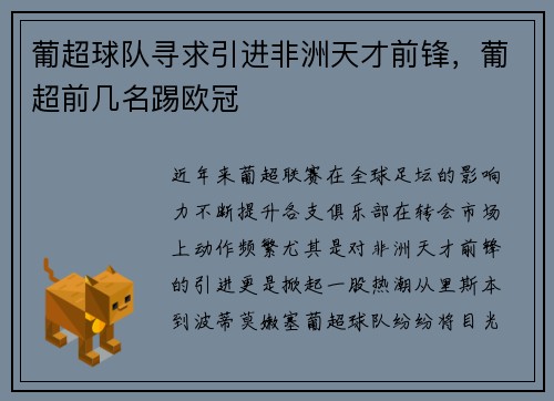 葡超球队寻求引进非洲天才前锋，葡超前几名踢欧冠